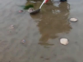 赶海的视频,探寻海洋宝藏的欢乐时光