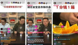 湖北性爱直播网,网络直播乱象背后的隐秘世界