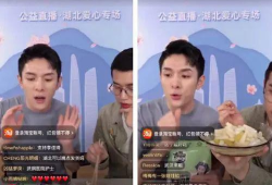 湖北性爱直播网,网络直播乱象背后的隐秘世界