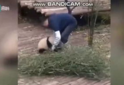 吃奶头视频,揭秘育儿过程中的温馨瞬间