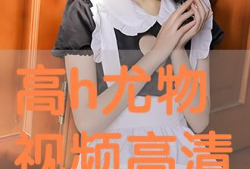 高h视频,揭秘视觉盛宴背后的技术奥秘